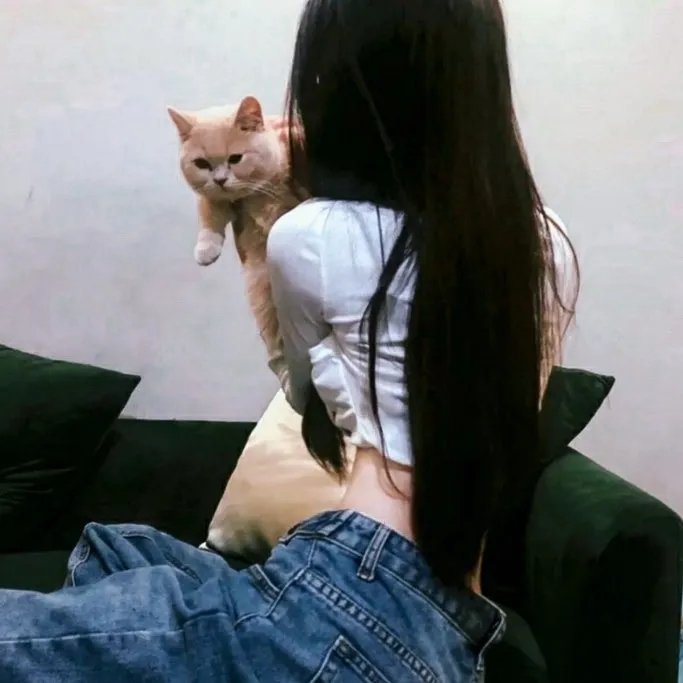 狗也爱钻石