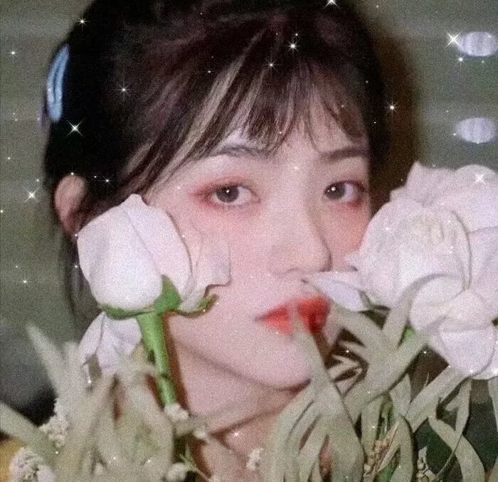 蒙哥一家的故事